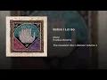 Before I Let Go - Maze