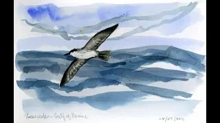 Down East Circle Part 6 – Chapter 3 NEW 2019 4K Release