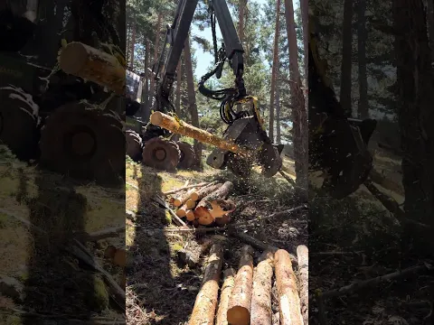John Deere 1270G🔥 Processing a Tree at Full Speed! #forest #johndeere #harvester #forestry #wood