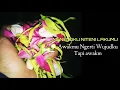 Download Lagu Story wa kejawen\