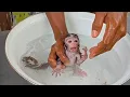 Lagu FINALLY THIS LITTLE MONKEY ROBYN CAN BE BATHED 