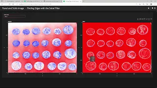 scikit image panel holoviews