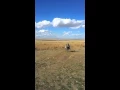 Download Lagu Yeşiltepe Köyü kulu/KONYA