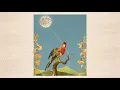 El Otro Polo - Claridad (Audio Oficial)