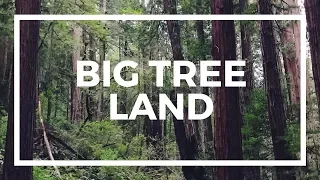 SOLD - Landwatch