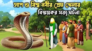বিশ্ব নবী ও এক সাপের সেই বিখ্যাত কাহিনী | ইসলামিক ঘটনা | Bangla Islamic Story | মানব জীবন |