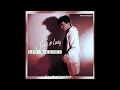 Download Lagu Les McKeown - She's a Lady [Slowed+Reverb]
