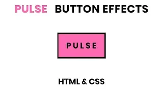 CSS Pulse Button on Hover Effects Using Html CSS