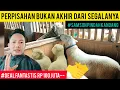 Download Lagu VIRAL‼️DOMBA WONOSOBO TERMAHAL TERJUAL//DOMBA SENI DAN JUMBO MASIH JADI IDAMAN PETERNAK