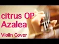 Download Lagu “citrus” OP “Azalea” (アザレア) / nano.RIPE (Anime Violin Cover)