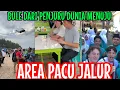 Download Lagu PARA BULE DARI.SELURUH DUNIA MULAI BERDATANGAN KE LOKASI PACU JALUR