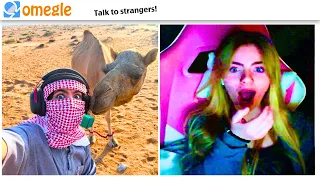 Omegle... But I'm with my Camel