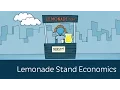 Lemonade Stand Economics