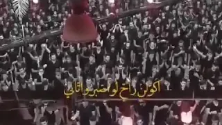 اكولن راح لو اصبر واتاني ولو غدار مايرحم زماني    حالات واتساب    باسم الكربلائي    تصميمي دندنها