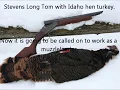 Making an Almost Muzzleloader from the Stevens Long Tom 12 Gauge Shotgun