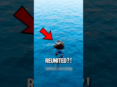 They Played a Baby Otter’s Cries Over the Fog... Then a Miracle Happened 🌊🦦