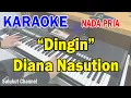 Download Lagu DINGIN ll KARAOKE NOSTALGIA ll MALAM YANG DINGIN ll DIANA NASUTION ll HETTY KOES ENDANG ll NADA PRIA