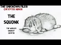 Cryptid Minis The Squonk