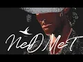 Download Lagu NEDMET CAMELEON