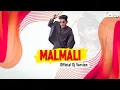 Lagu Malmali Official Dj Version || Black Bhaa || Dj Udaya Sahu