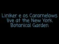 Liniker e os Caramelows Brazil Summerfest live at New York Botanical Garden - 06.15.2019