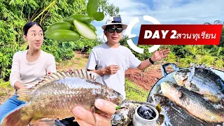 ต้มยำปลาหมอใส่มะดัน ตำถั่ว ไข่ป่าม วันที่ 2 ของการปลูกทุเรียน