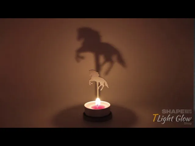 Animal Horse video thumbnail