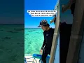 Download Lagu Daripada ke Maldives mending ke Karimunjawa aja, bener gak? #beach #travel #karimunjawa #indonesia
