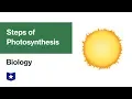 Steps of Photosynthesis Biology