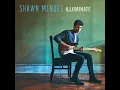 Shawn Mendes - I Know What You Did Last Summer ft. Camila Cabello