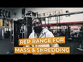 REP RANGE MUSCLE MASS