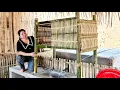 Download Lagu Single woman uses bamboo to make cupboards to store dishes and things in a simple but beautiful way