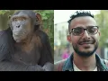DEBUNKING All of the Best “Proof” of Evolution in 12 Minutes