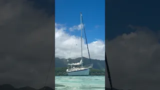 Sand bar! Day 2! #sailing