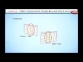 Learn Oracle How to Create a Table using SQL Not Null Unique Key Primary Key