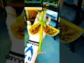Download Lagu From an egg… life begins to transform 🥚➡️🦎✨”#viral#viralvideo#trending#shorts