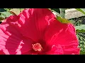 The Astrology of August 7 2026 Talking it over