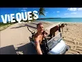 VIEQUES ISLAND ADVENTURE - PUERTO RICO