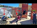 Download Lagu Het verraad van Nasibeh en de wraak van Vahid en zijn verdrijving uit het huis veranderen alles.