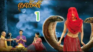 الحلقه الأولى من مسلسل الأفعى الجزء الاول انتقام افعى الجزء 1 قناة كوكتيل 