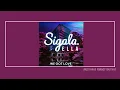 Sigala feat. Ella Henderson | WE GOT LOVE (lyrics)