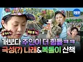 Lagu [나혼자산다] 쉴 틈 없는 견주의 삶💦 초보 견주 박나래와 누나 바라기 복돌이의 하루ㅣ#박나래 MBC251121방송