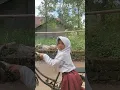 Lagu banyak mimpi