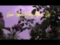 Love The Way You Lie Cover - Dave Winkler \u0026 Lorena Kirchhoffer - Purple TeleScribe