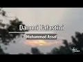 Dammi Falastini - Muhammad Assaf | My Blood is Palestinian | Lyrical Video | Lyrics