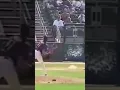 Lagu Randy Johnson smokes a bird with a 100+ MPH fastball and it explodes.