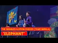 Download Lagu The Wiggles \u0026 Kevin Parker (Tame Impala) perform 'Elephant' | OFFICIAL LIVE ON TOUR