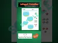 Jungle Animals Preschool Math Worksheets Vol 2
