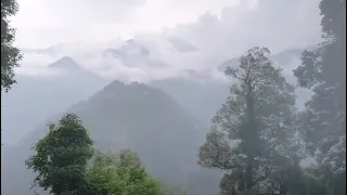                     دندنها