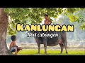 Download Lagu Kanlungan (Pana-panahon) - Noel Cabangon with lyrics